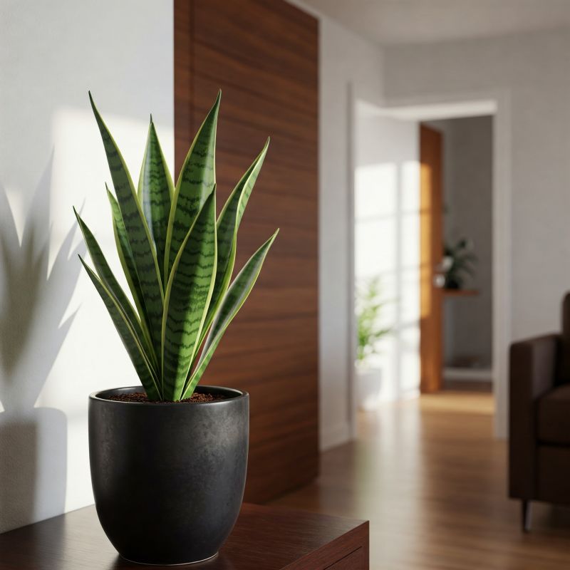 5-gemakkelijk-te-onderhouden-plantenbakken